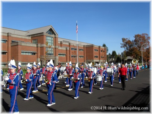 Auburn Veterans Day Parade 2014 35